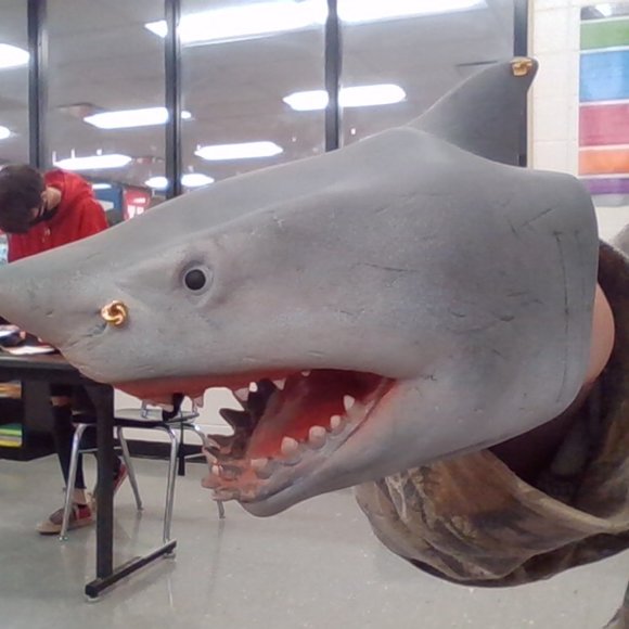 Meet your Posher, Clark - Picture 2 of 2